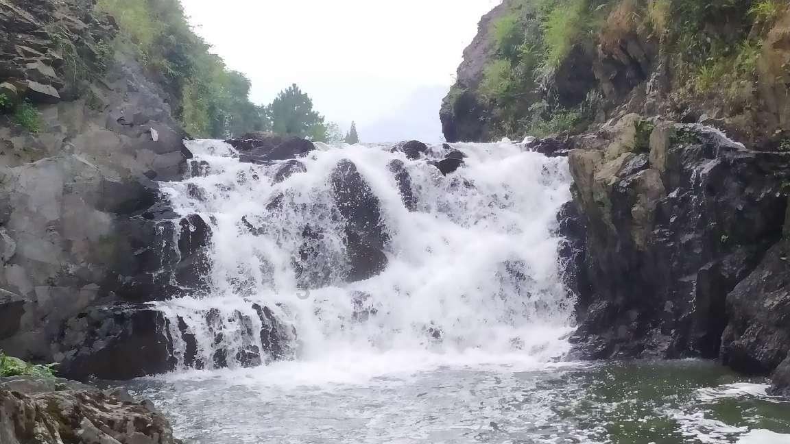 在校生逃脱