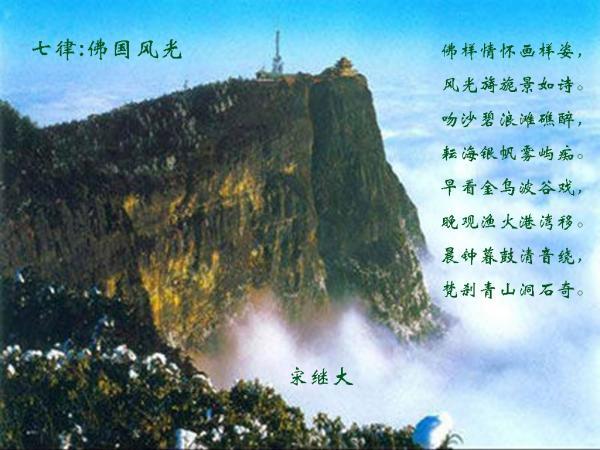 暴走小飞机